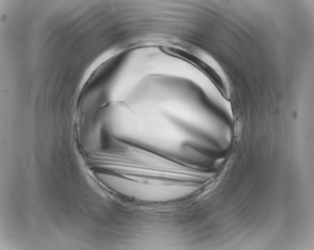 X0000085831146200704132031