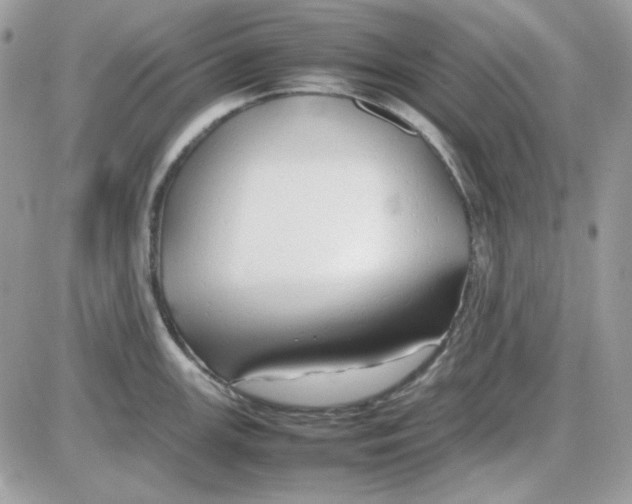 X0000085831147200704132031