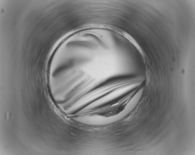 X0000085831148200704132031