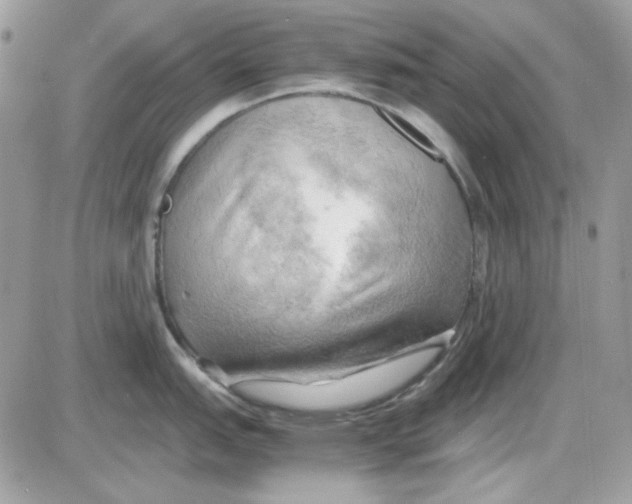 X0000085831151200704132031