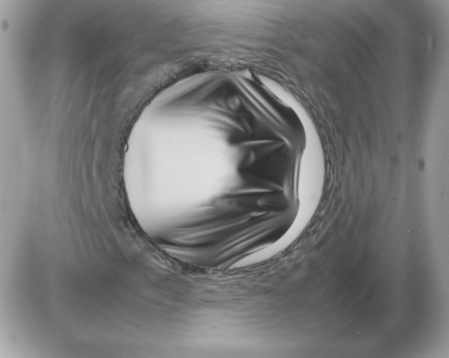 X0000085831153200704132030