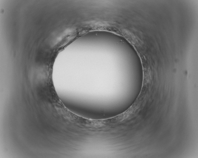 X0000085831157200704132030