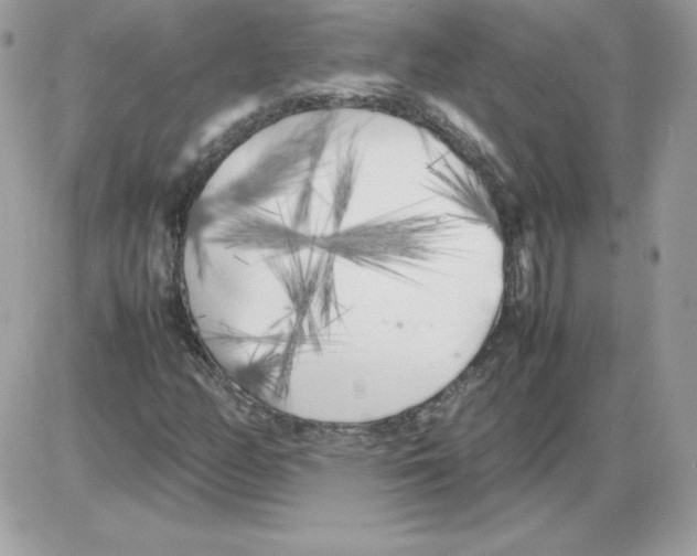 X0000085831158200704132030