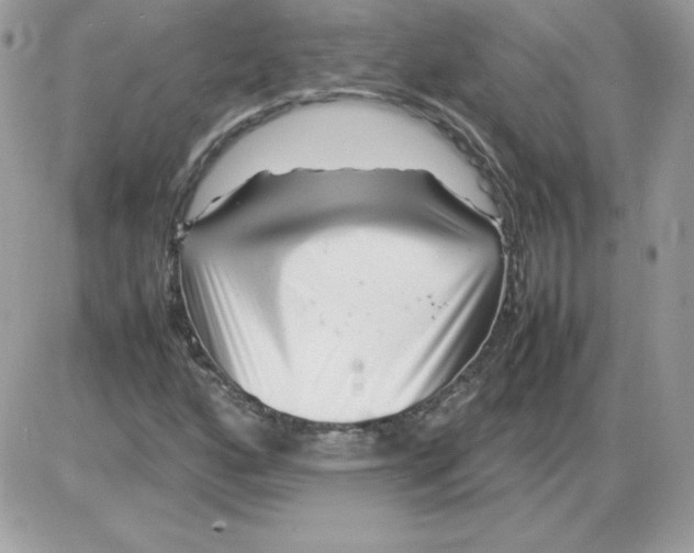 X0000085831160200704132030
