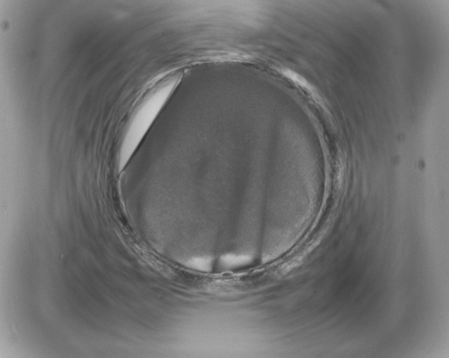 X0000085831161200704132030