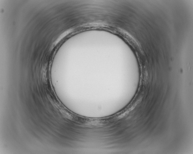 X0000085831162200704132030