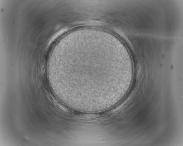 X0000085831163200704132030