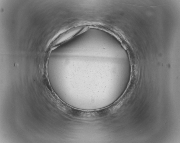 X0000085831165200704132030