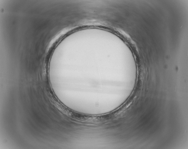 X0000085831167200704132030