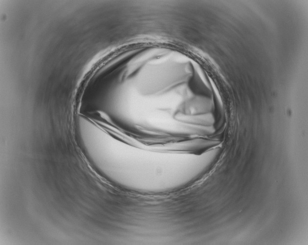 X0000085831168200704132030