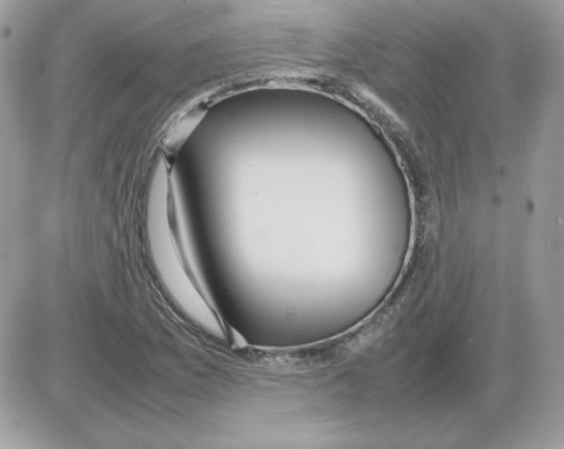 X0000085831169200704132030