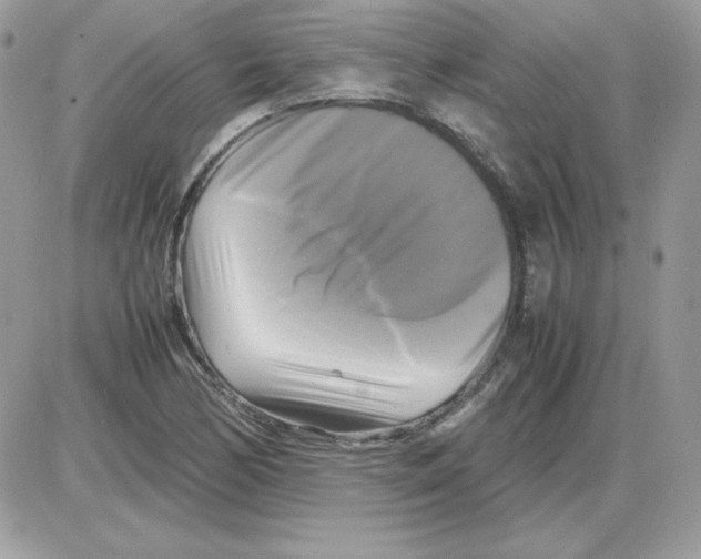 X0000085831170200704132030