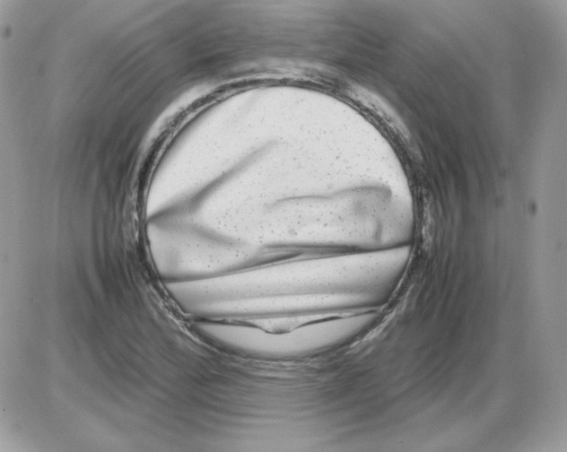 X0000085831172200704132030