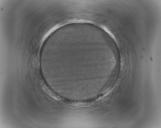 X0000085831173200704132030