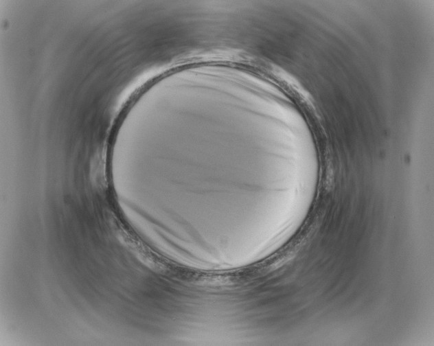 X0000085831174200704132030