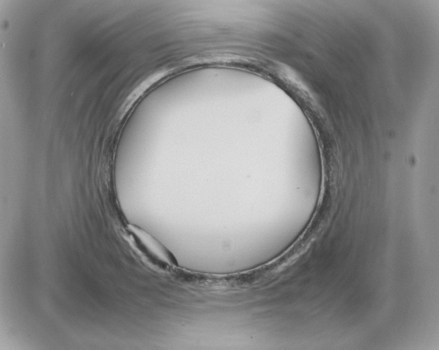 X0000085831177200704132030