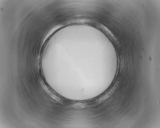 X0000085831178200704132030