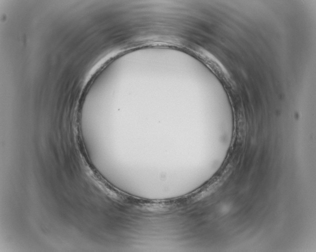 X0000085831182200704132030