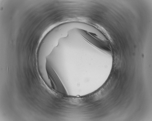 X0000085831184200704132030