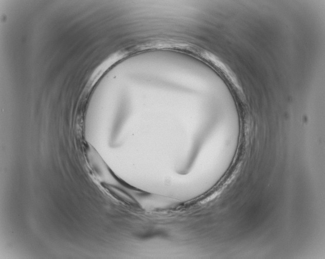 X0000085831185200704132030