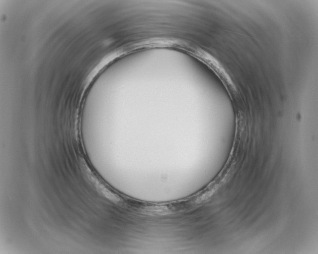 X0000085831186200704132030