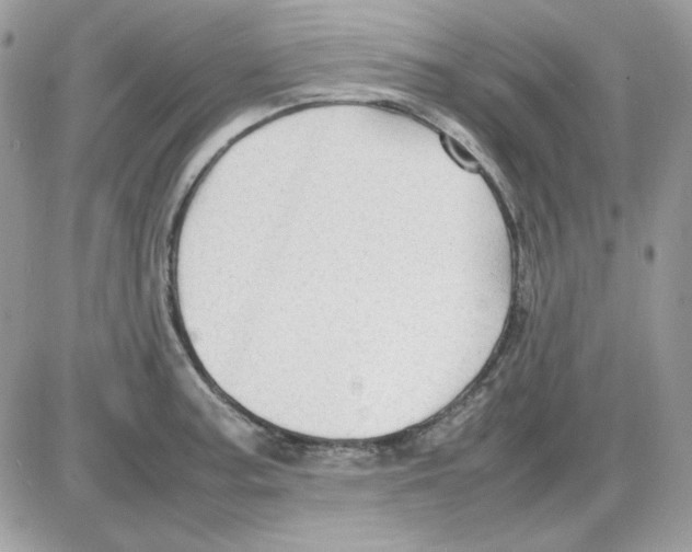 X0000085831187200704132030