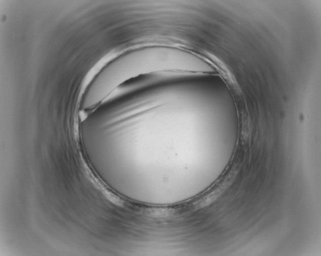 X0000085831188200704132030
