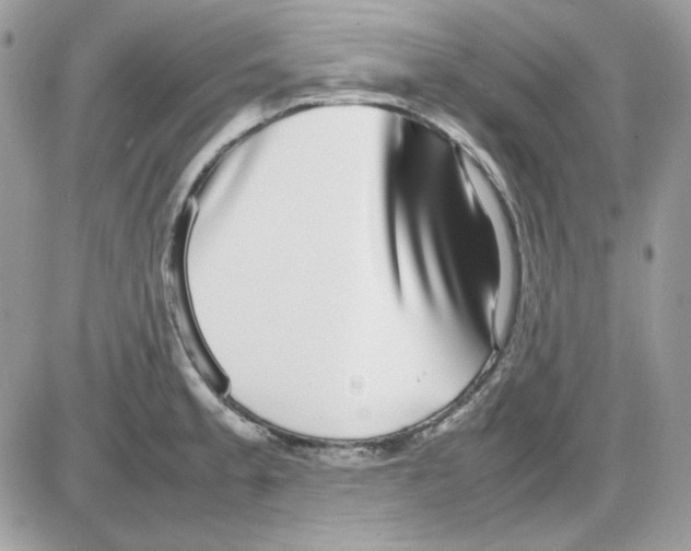 X0000085831189200704132030