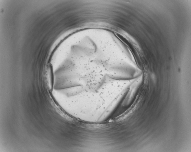 X0000085831192200704132030