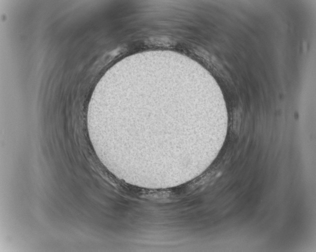 X0000085831201200704132029