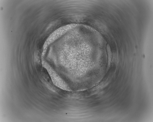 X0000085831202200704132029
