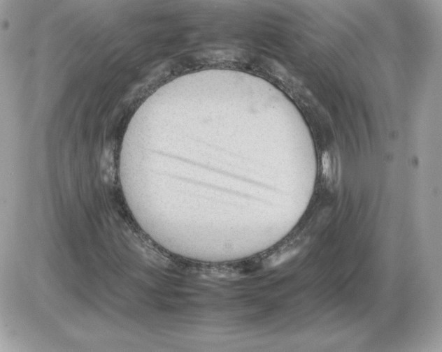 X0000085831203200704132029