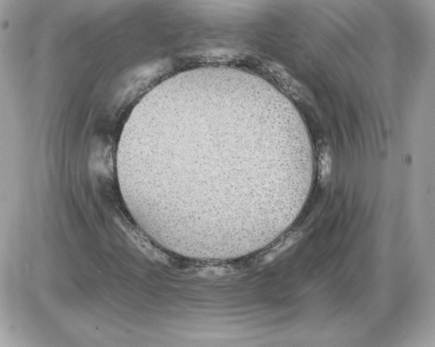 X0000085831204200704132029