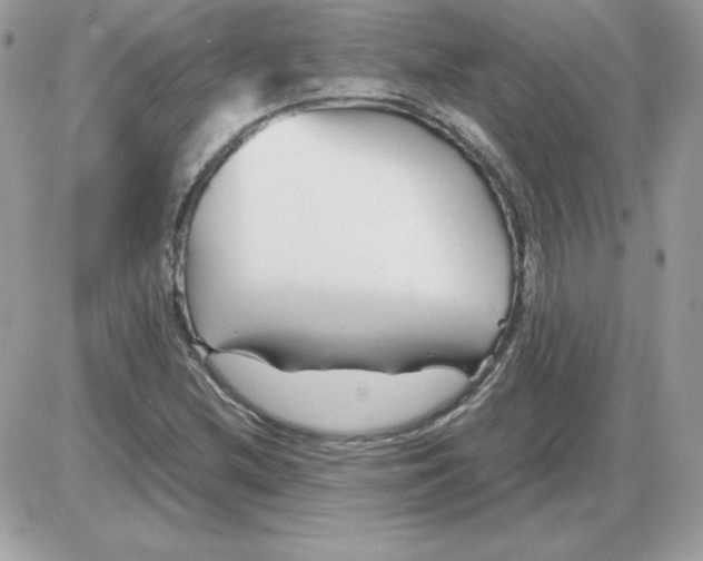 X0000085831212200704132029