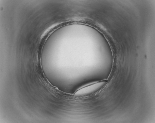 X0000085831214200704132029