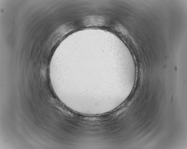 X0000085831217200704132029