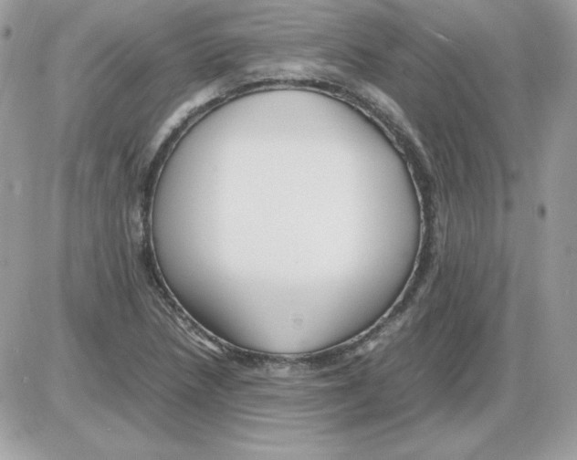 X0000085831218200704132029