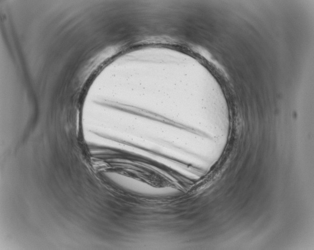 X0000085831221200704132029