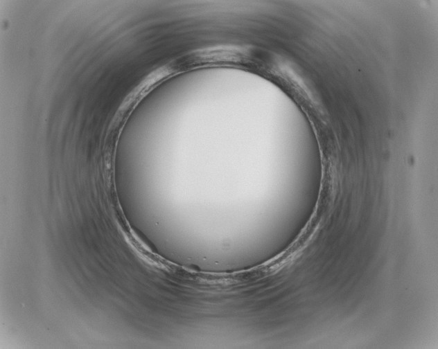 X0000085831225200704132029