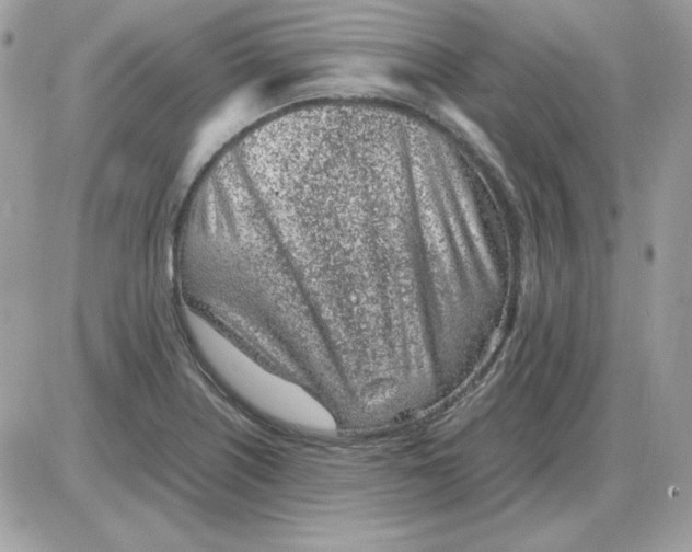 X0000085831226200704132029