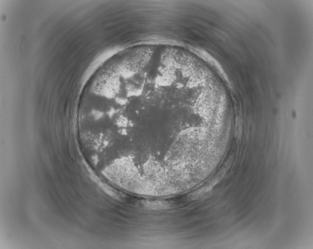 X0000085831231200704132029