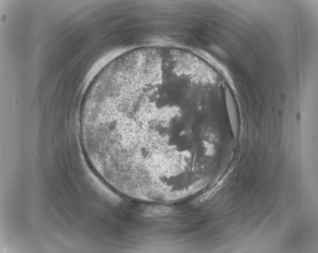 X0000085831239200704132029