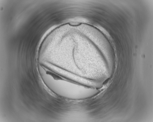 X0000085831248200704132029