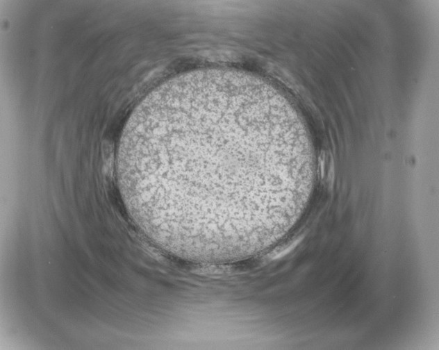 X0000085831251200704132029