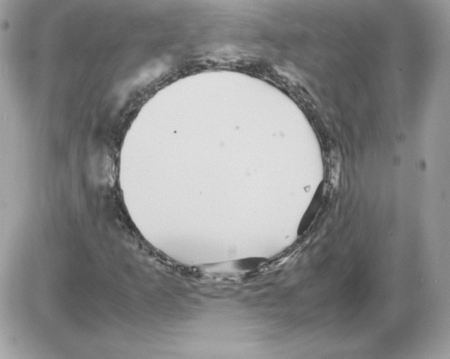 X0000085831253200704132029