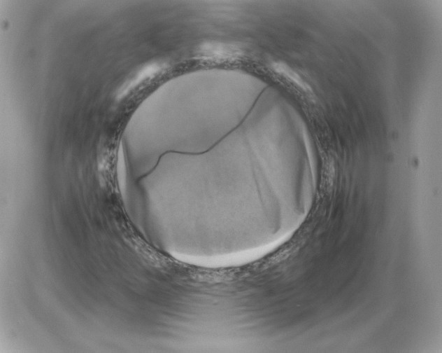 X0000085831254200704132029