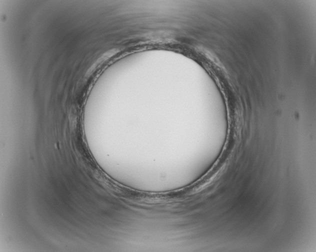 X0000085831257200704132028