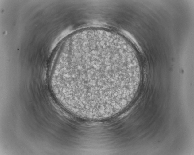 X0000085831260200704132028