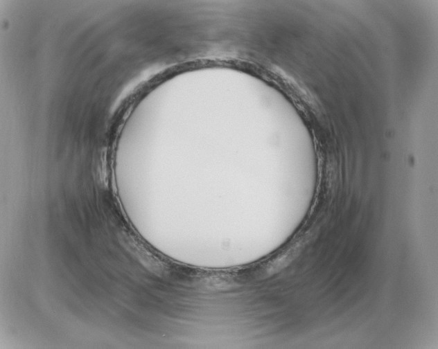 X0000085831262200704132028
