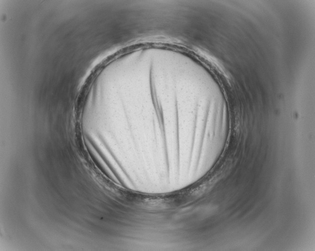 X0000085831264200704132028